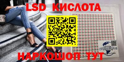 стаф Камышлов