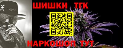 стаф Камышлов