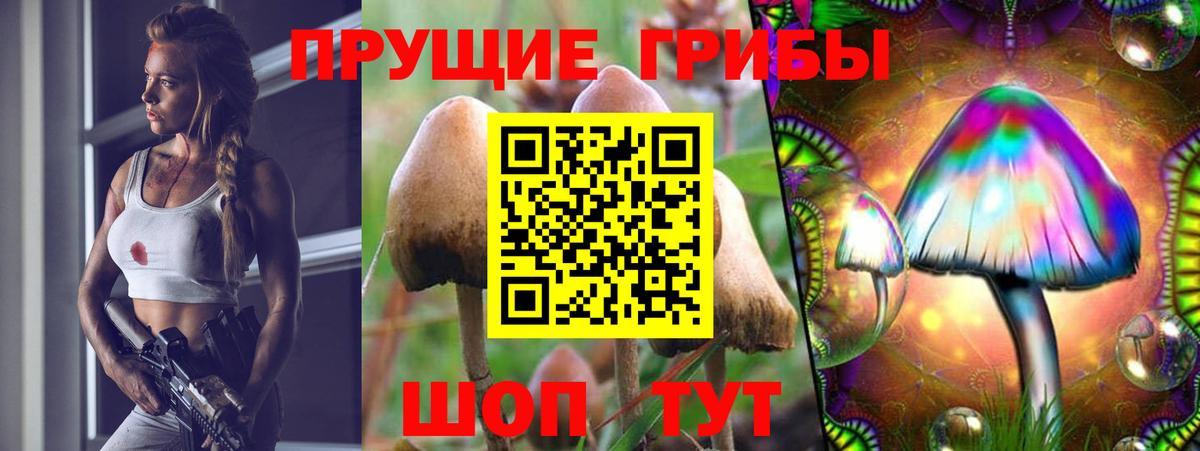 Кушва  Галлюциногенные грибы GOLDEN TEACHER  Вход с VPN 